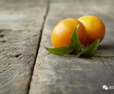 早熟柑橘新品种哪个好吃点呢图片欣赏（云南爱莎柑橘上市了吗）
