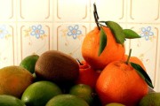 柑橘树果子图片_柑橘树树体结构图