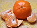 长刺柑橘树什么品种图片_长很长的刺橘树是什么品种