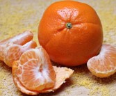 长刺柑橘树什么品种图片_长很长的刺橘树是什么品种