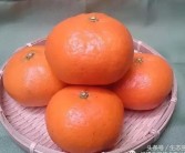柑橘新品种甘平介绍图片及价格（甘平柑橘是几月份转色）