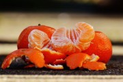 象山青橘子种植技术_象山青桔子多少钱一斤