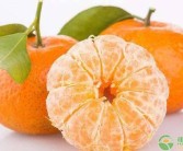 2021年最新柑橘新品种有哪些图片（4月开花的是哪种桔子）