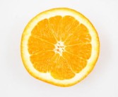 酸橘砧木沙糖桔优缺点_酸橘树图片