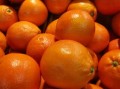 有什么新品种柑桔苗好看好养_新品柑橘苗