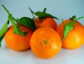 日本春见柑桔_春见柑橘的功效与作用