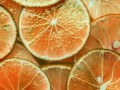 柑橘果酒工厂设计论文_柑橘果酒的酿造工艺研究