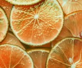 柑橘果酒工厂设计论文_柑橘果酒的酿造工艺研究