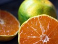 柑橘新品种介绍甘平种植方法图片_甘平柑橘优点与缺点