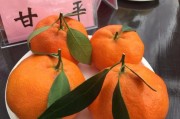 柑橘新品种第一名是什么（川津5号柑橘优点和缺点）