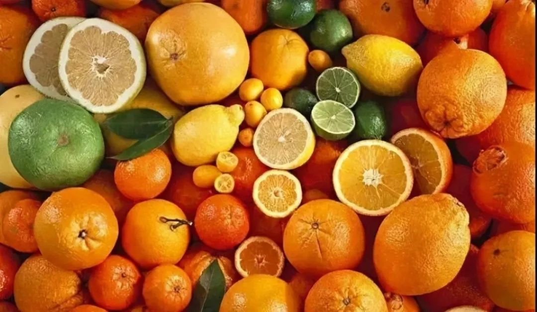 柑橘持续低迷，种植柑橘还有前景吗 柑橘百科 第3张