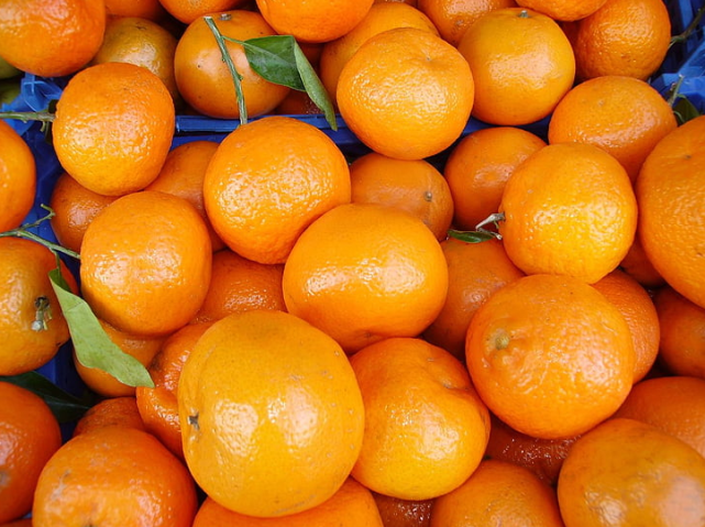 沃柑、砂糖橘赚钱效应减弱，谁将成为下一个赚钱“新品种” 柑橘百科 第8张