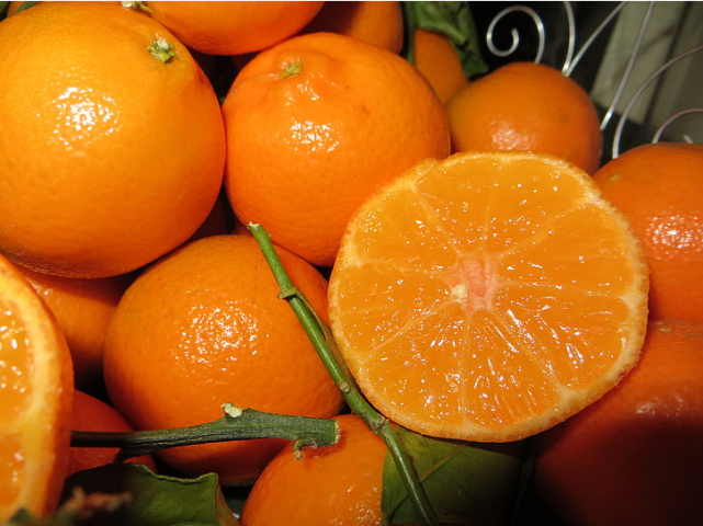 沃柑、砂糖橘赚钱效应减弱，谁将成为下一个赚钱“新品种” 柑橘百科 第10张