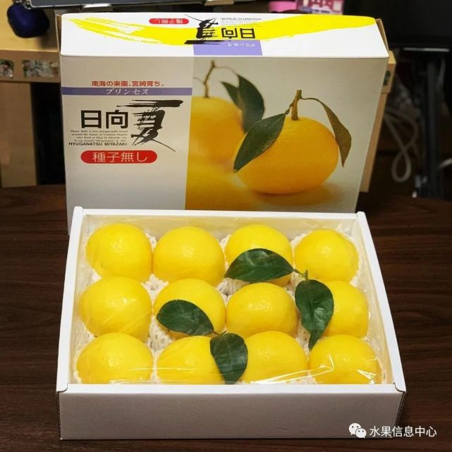 新品种日向夏蜜柑——柚子还是柠檬？缘何成为市场宠儿 柑橘百科 第13张