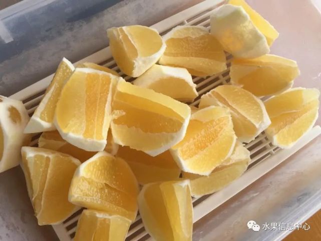 新品种日向夏蜜柑——柚子还是柠檬？缘何成为市场宠儿 柑橘百科 第18张
