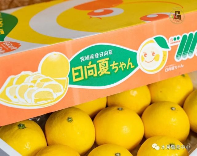 新品种日向夏蜜柑——柚子还是柠檬？缘何成为市场宠儿 柑橘百科 第16张