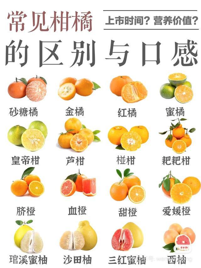 别找了！你知道砂糖橘、爱媛橙、春见等常见柑橘的味道有啥不一样吗？ 柑橘技术知识 第1张