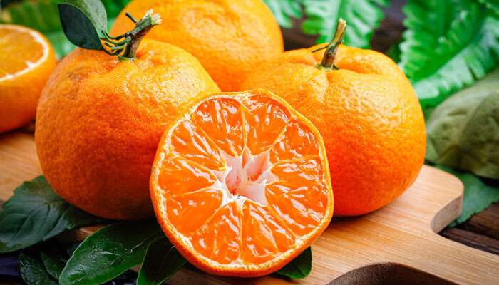 爱媛46号柑橘品种怎么样？种植前景和种植范围分析 柑橘百科 第2张