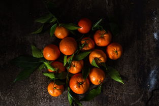 耙耙柑和橙子哪个营养更高_耙耙柑与橙子的区别 柑橘百科 第5张