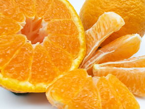 柑橘供应链模式有哪些类型的产品_柑橘供应链模式有哪些类型的产品和服务 柑橘百科 第1张