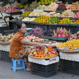 湖北省丹江口桔子交易市场_丹江口市桔子基地在哪里 柑橘技术知识 第7张