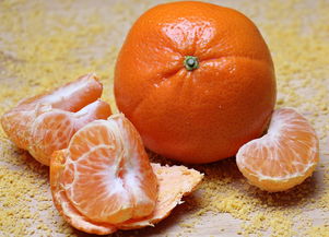 橘子味香气citrus漫画免费观看 柑橘百科 第7张
