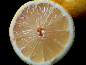 柑橘橙子不同点_柑 橘子 橙子 柑橘百科 第3张