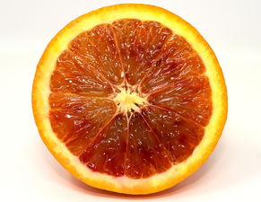 青桔子什么时候成熟采摘_青桔子什么时候上市 柑橘技术知识 第4张
