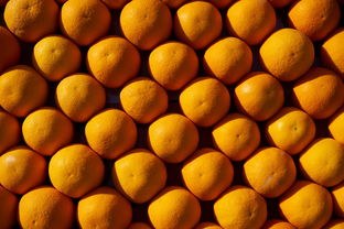 橘子橙子柑子区别什么_橘子橙子柑橘有什么区别吃什么好 柑橘百科 第3张
