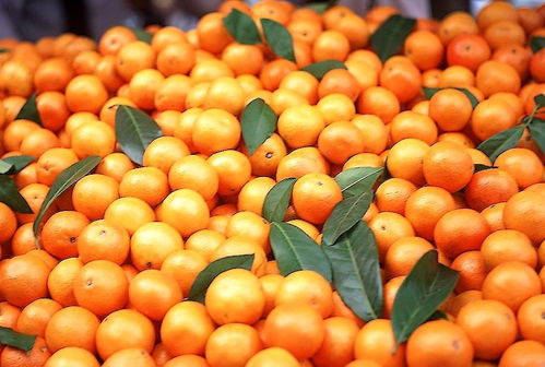 橘子橙子柑子区别什么_橘子橙子柑橘有什么区别吃什么好 柑橘百科 第1张