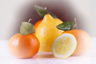 柑橘放秋梢正确方法图片_柑橘如何放秋梢 柑橘技术知识 第4张