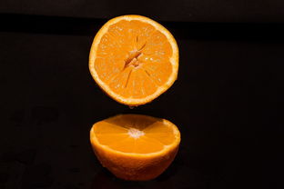 柑橘适合在什么地形地区种植_柑橘一般种在什么地方 柑橘技术知识 第1张