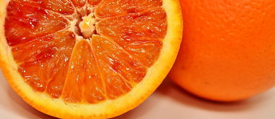 柑橘喷花技巧视频教程_柑橘怎样促花 柑橘技术知识 第4张
